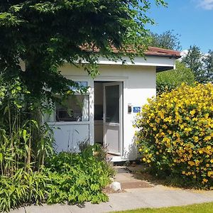 Two-Bedroom Chalet Sunny View